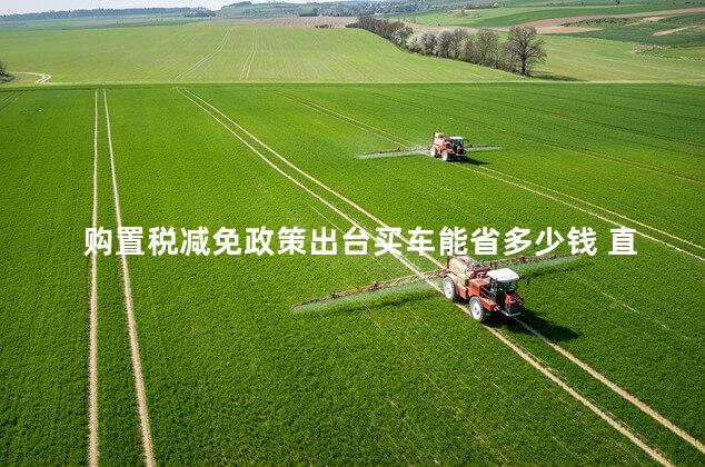 购置税减免政策出台买车能省多少钱 直接的救市政策出台